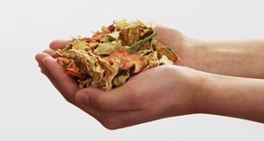 パリパリキューのメリット