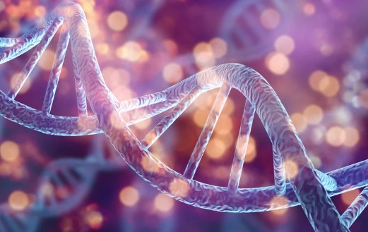 chatGENE Pro(チャットジーンプロ)の口コミ